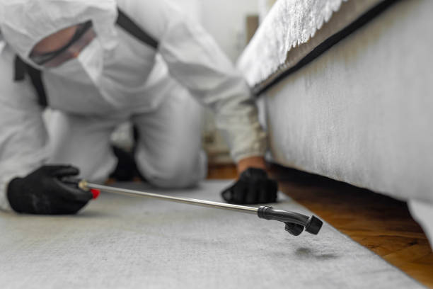 Professional Bed Bug Control technician working in Krum, TX