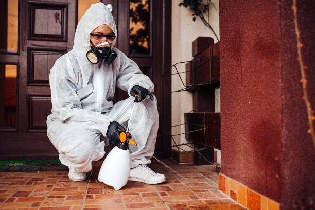 Reliable Bed Bug Control contractor in Krum, TX by Nex Pest Control